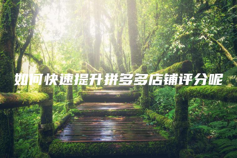 如何快速提升拼多多店铺评分呢