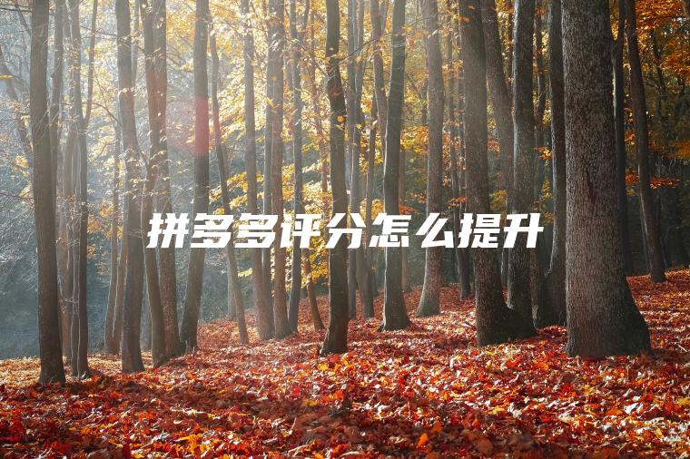 拼多多评分怎么提升