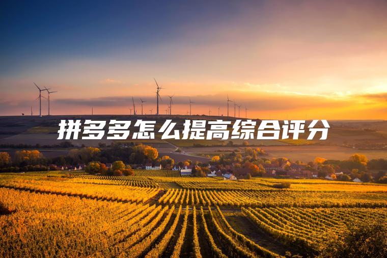 拼多多怎么提高综合评分