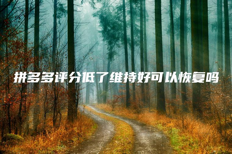 拼多多评分低了维持好可以恢复吗