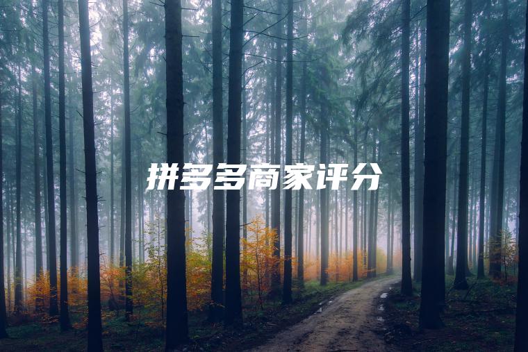 拼多多商家评分
