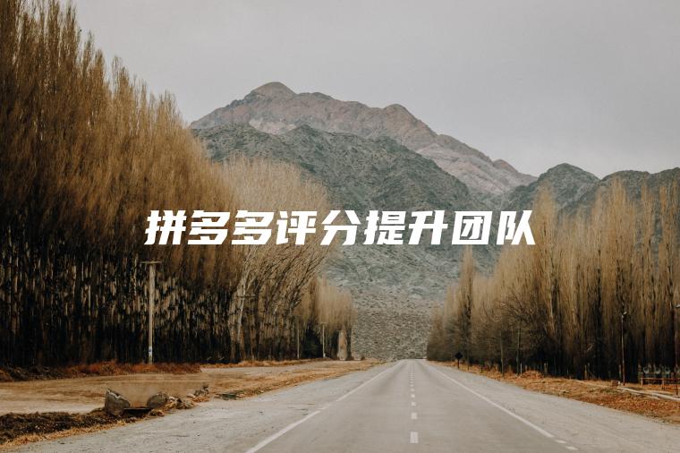 拼多多评分提升团队 拼多多评分提升团队