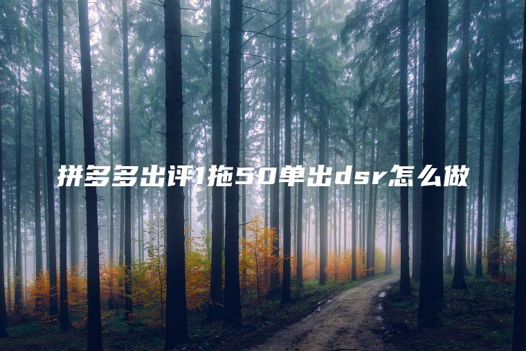 拼多多出评1拖50单出dsr怎么做