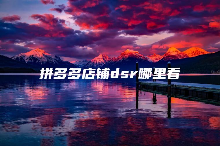 拼多多店铺dsr哪里看