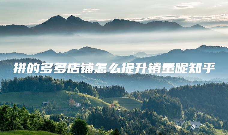 拼的多多店铺怎么提升销量呢知乎