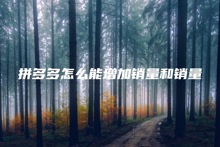 拼多多怎么能增加销量和销量
