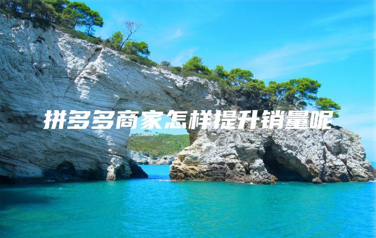 拼多多商家怎样提升销量呢