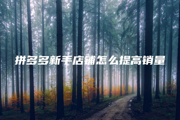 拼多多新手店铺怎么提高销量