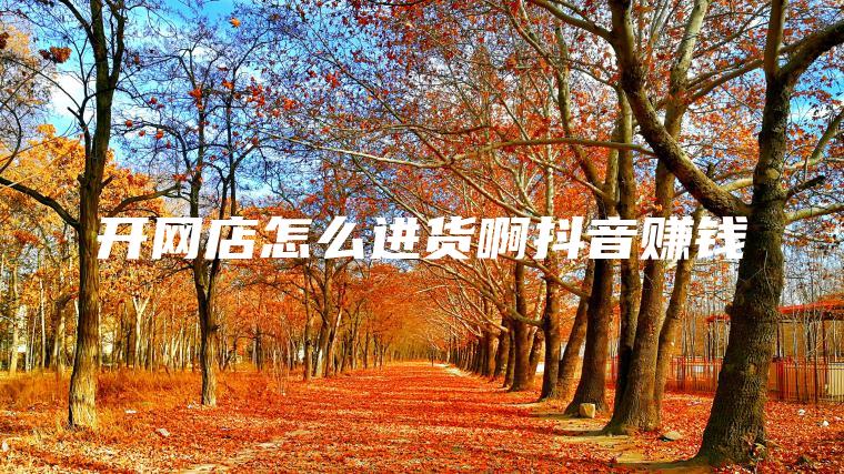 开网店怎么进货啊抖音赚钱 开网店怎么进货啊抖音赚钱