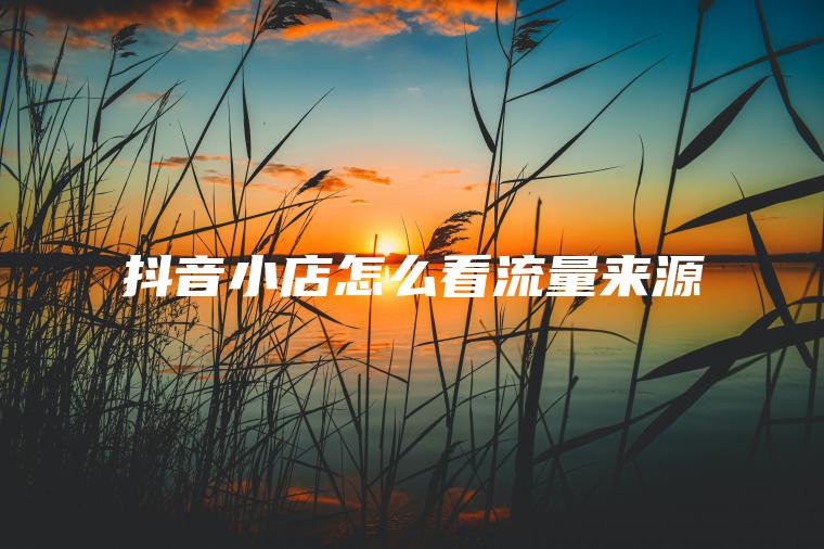 抖音小店怎么看流量来源 抖音小店怎么看流量来源