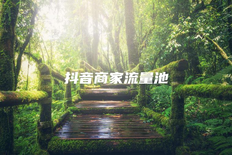 抖音商家流量池 抖音商家流量池