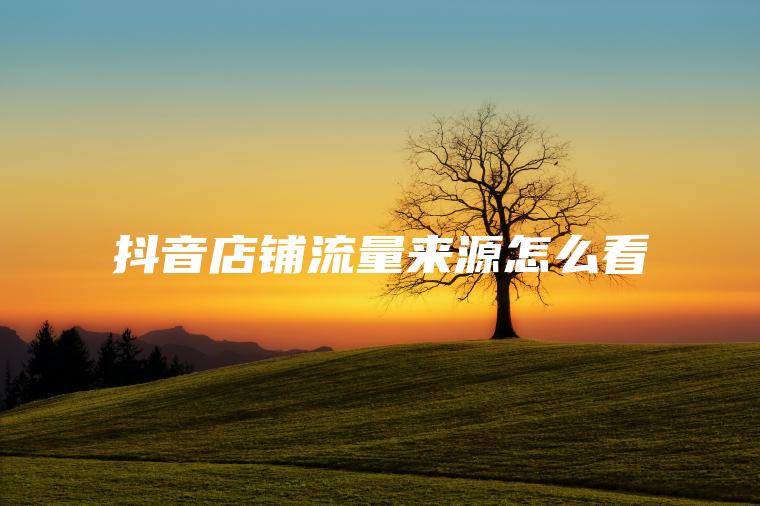 抖音店铺流量来源怎么看