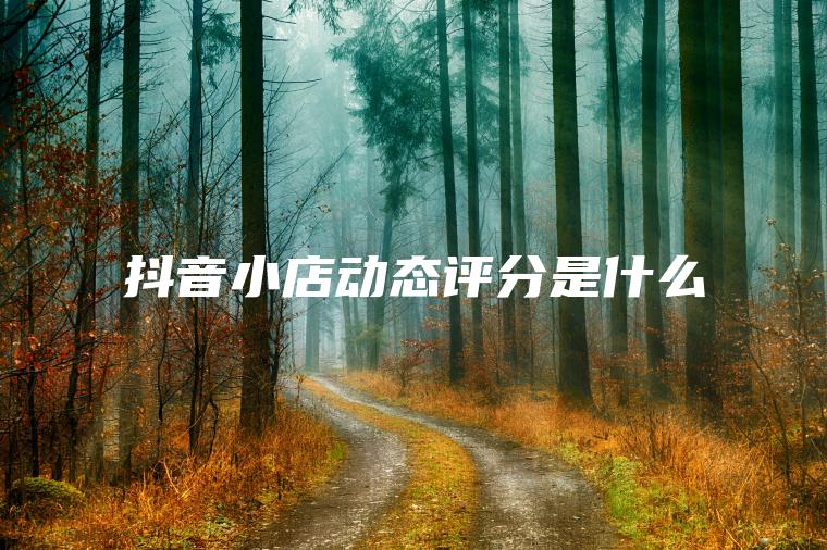 抖音小店动态评分是什么 抖音小店动态评分是什么