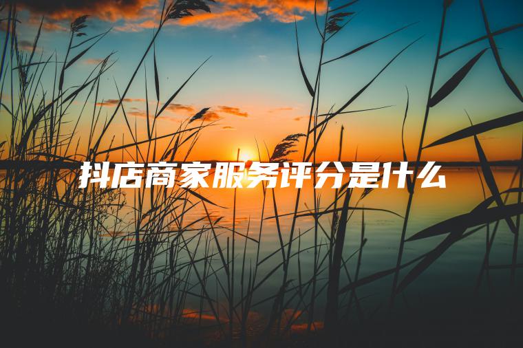 抖店商家服务评分是什么 抖店商家服务评分是什么