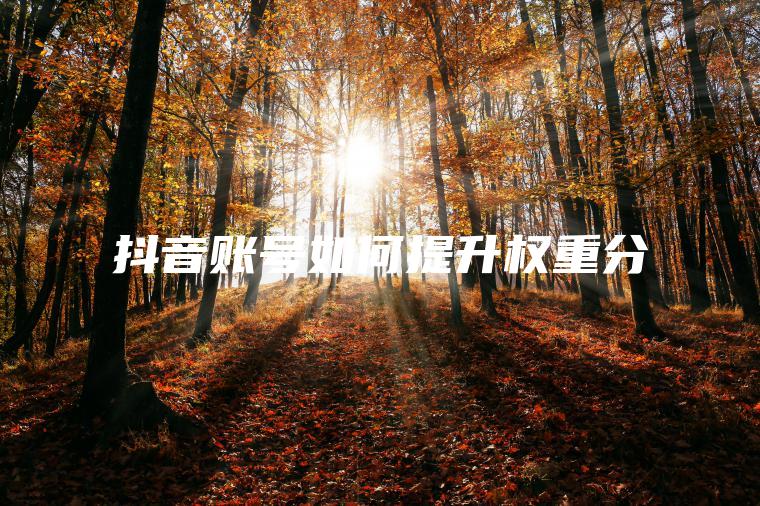 抖音账号如何提升权重分 抖音账号如何提升权重分