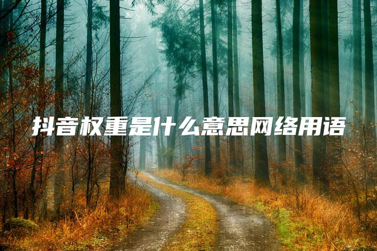 抖音权重是什么意思网络用语