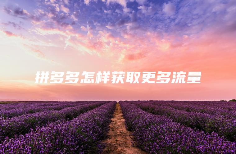 拼多多怎样获取更多流量 拼多多怎样获取更多流量
