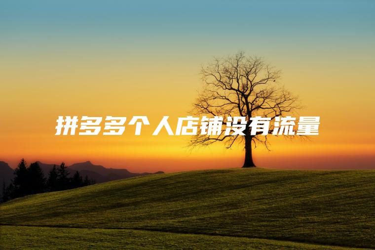 拼多多个人店铺没有流量 拼多多个人店铺没有流量