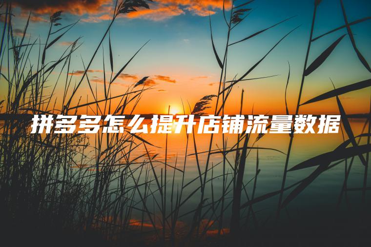 拼多多怎么提升店铺流量数据 拼多多怎么提升店铺流量数据