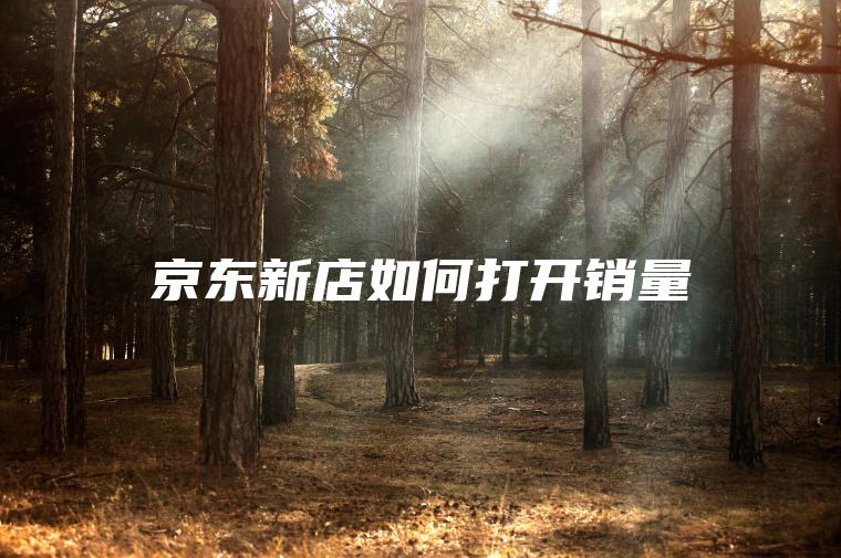 京东新店如何打开销量 京东新店如何打开销量