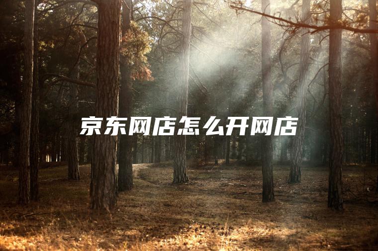 京东网店怎么开网店 京东网店怎么开网店