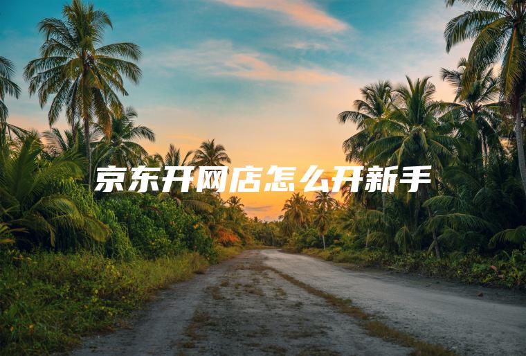 京东开网店怎么开新手
