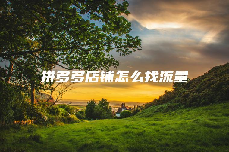 拼多多店铺怎么找流量