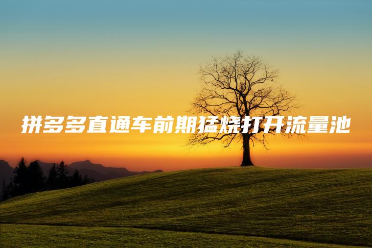 拼多多直通车前期猛烧打开流量池