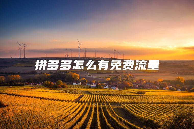 拼多多怎么有免费流量 拼多多怎么有免费流量