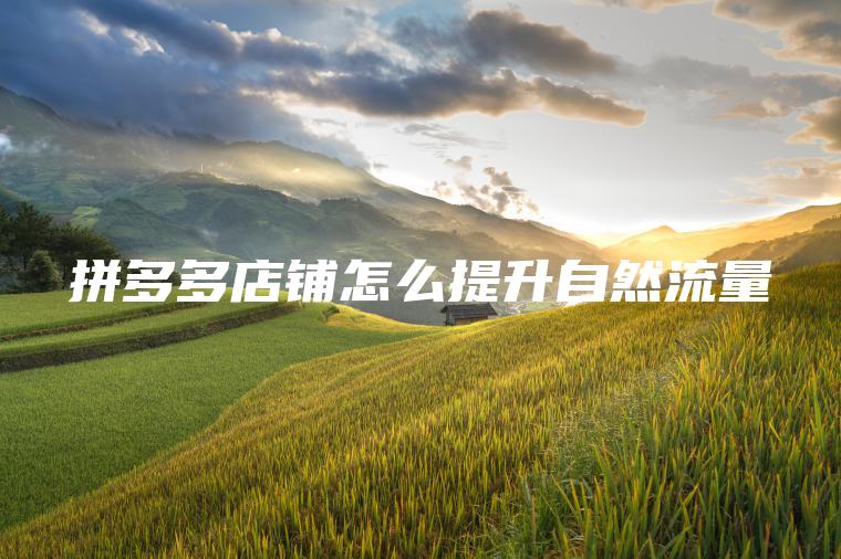 拼多多店铺怎么提升自然流量 拼多多店铺怎么提升自然流量