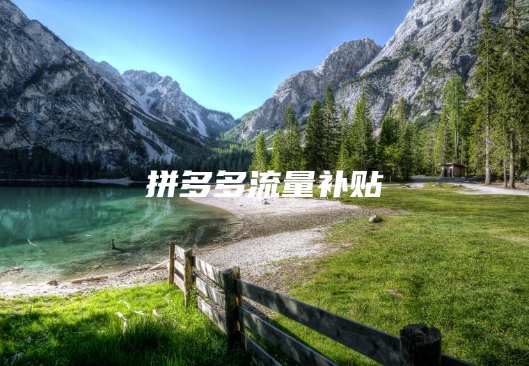 拼多多流量补贴