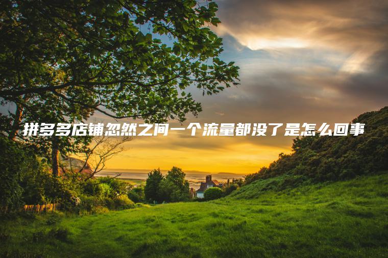 拼多多店铺忽然之间一个流量都没了是怎么回事