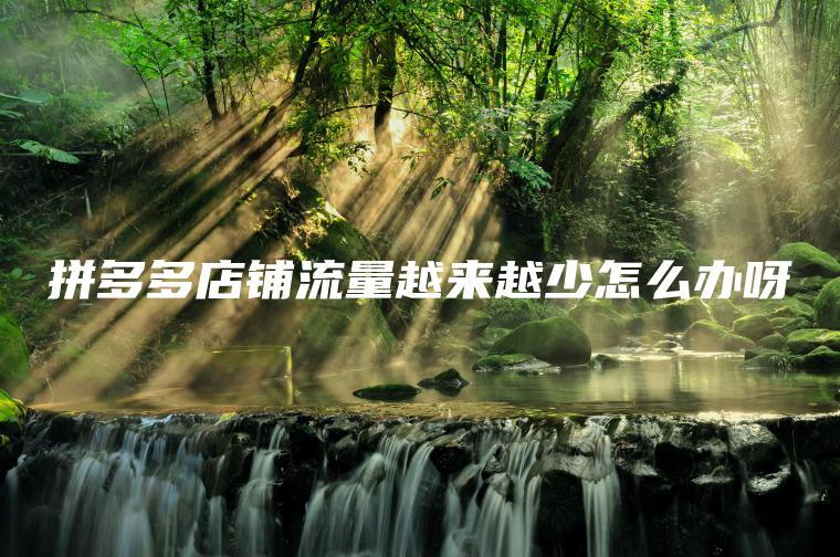 拼多多店铺流量越来越少怎么办呀 拼多多店铺流量越来越少怎么办呀