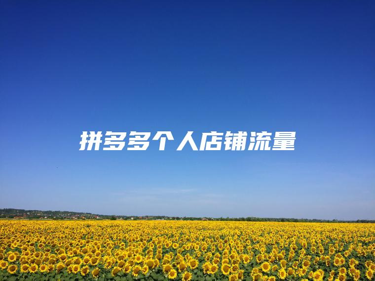 拼多多个人店铺流量
