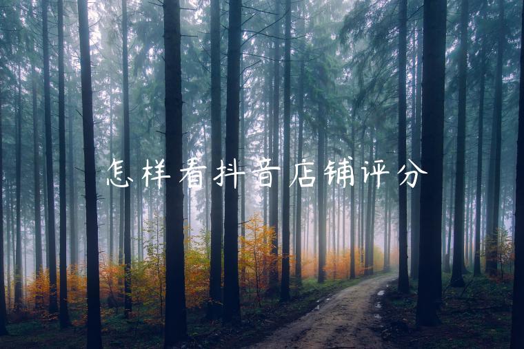 怎样看抖音店铺评分