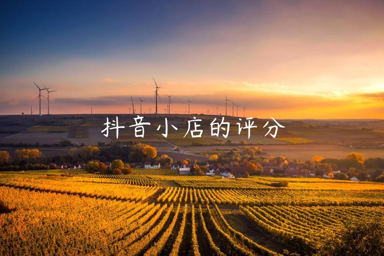 抖音小店的评分