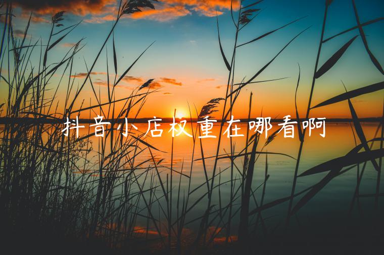 抖音小店权重在哪看啊