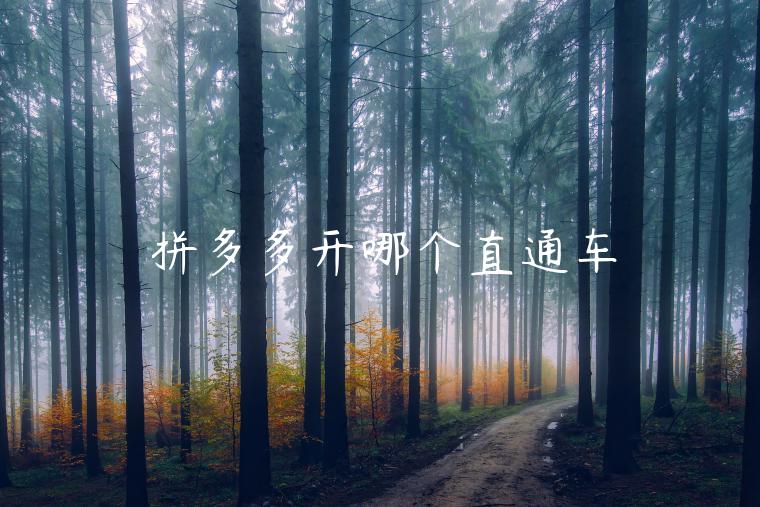 拼多多开哪个直通车