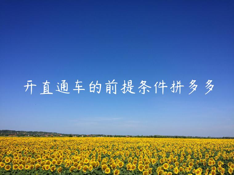 开直通车的前提条件拼多多 开直通车的前提条件拼多多