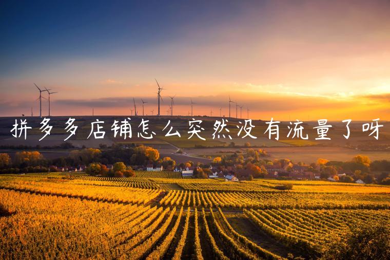 拼多多店铺怎么突然没有流量了呀 拼多多店铺怎么突然没有流量了呀