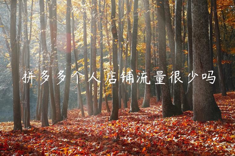 拼多多个人店铺流量很少吗