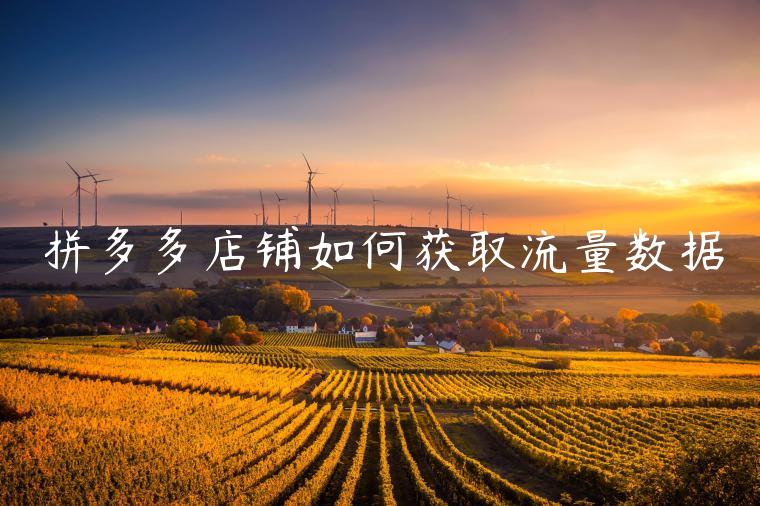 拼多多店铺如何获取流量数据