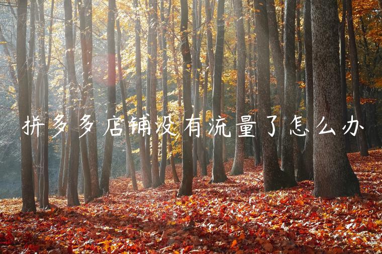 拼多多店铺没有流量了怎么办