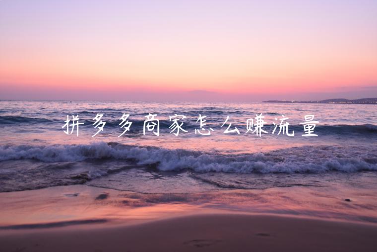 拼多多商家怎么赚流量