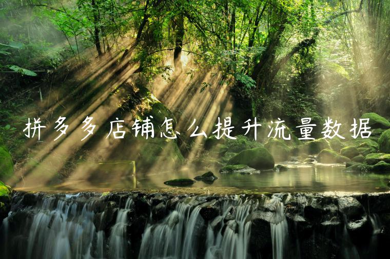 拼多多店铺怎么提升流量数据