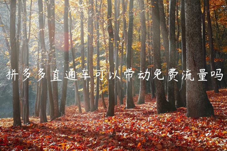 拼多多直通车可以带动免费流量吗