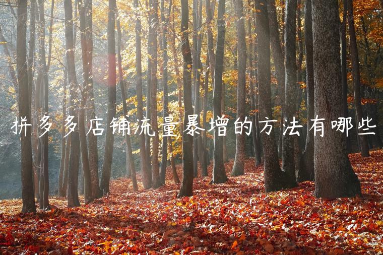 拼多多店铺流量暴增的方法有哪些 拼多多店铺流量暴增的方法有哪些