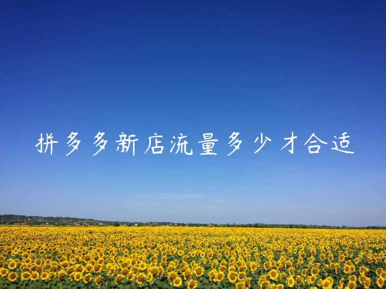 拼多多新店流量多少才合适 拼多多新店流量多少才合适
