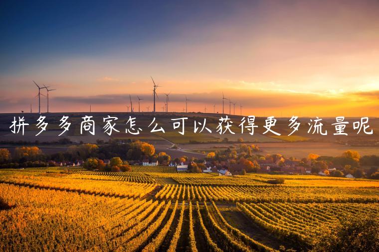 拼多多商家怎么可以获得更多流量呢 拼多多商家怎么可以获得更多流量呢