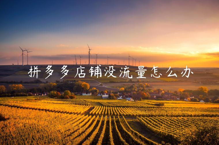 拼多多店铺没流量怎么办 拼多多店铺没流量怎么办